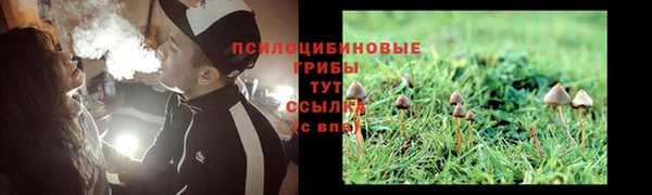 а пвп мука Аркадак