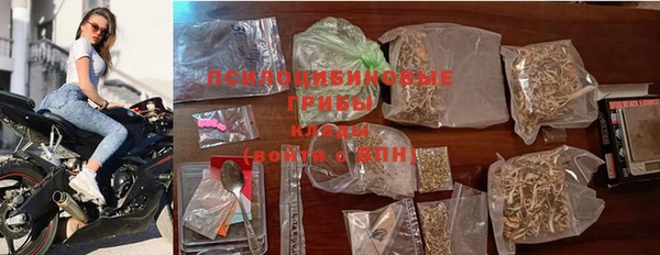 мдпв Арсеньев