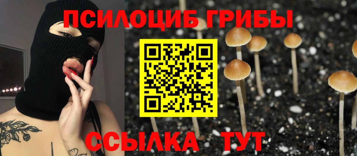 Нарьян-Мар  Галлюциногенные грибы прущие грибы  Псилоцибиновые грибы мухоморы  Вход с VPN 