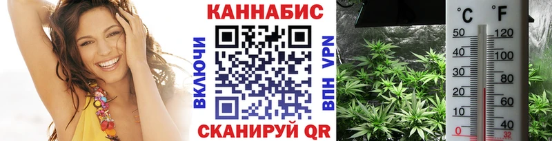 Бошки Шишки планчик  Нарьян-Мар 